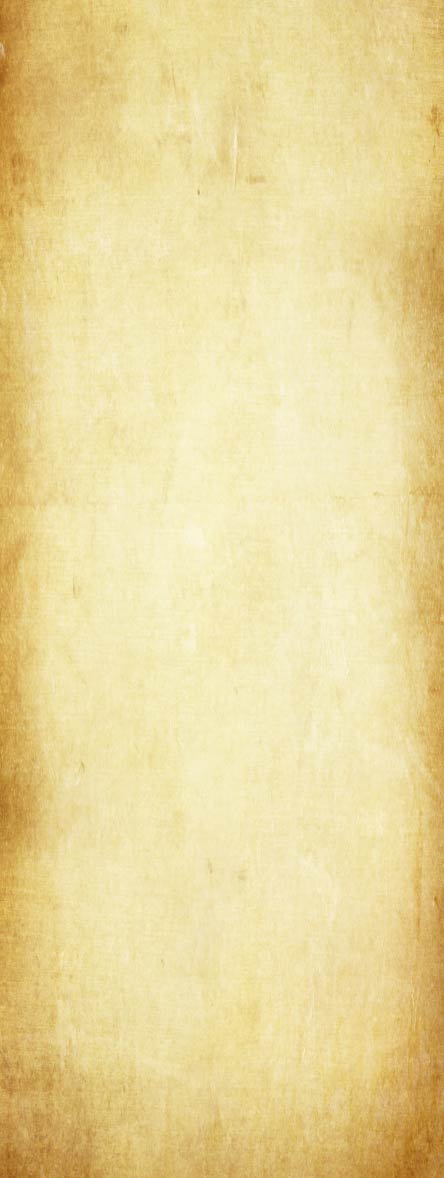 メインイメージ帯